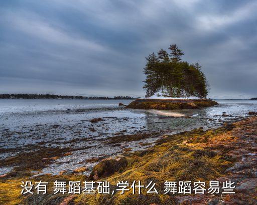 没有 舞蹈基础,学什么 舞蹈容易些