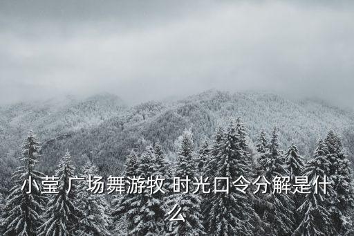 小莹 广场舞游牧 时光口令分解是什么