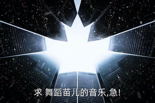 求 舞蹈苗儿的音乐,急!