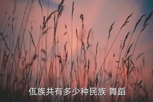  佤族共有多少种民族 舞蹈