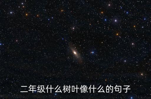 二年级什么树叶像什么的句子