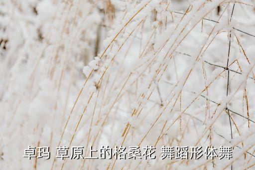 草原女儿舞蹈,蒙古语舞蹈久负盛名但在萨满舞蹈中仍有体现