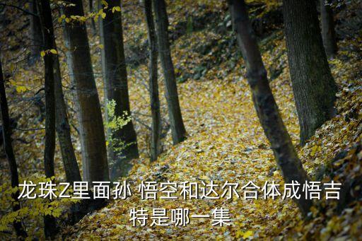 舞蹈悟空,孙悟空放马的评论总结
