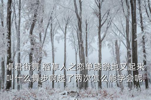 卓君街舞 稻草人之恋单膝跪地又起来叫什么舞步啊起了两次怎么能学会呢...