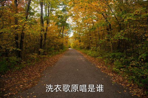  洗衣歌原唱是谁
