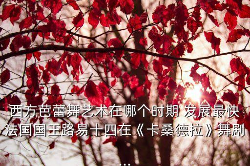 西方芭蕾舞艺术在哪个时期 发展最快法国国王路易十四在《卡桑德拉》舞剧...