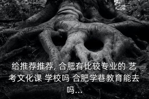 合肥舞蹈艺考培训学校,合肥哪里可以找到专业人士舞蹈学校?