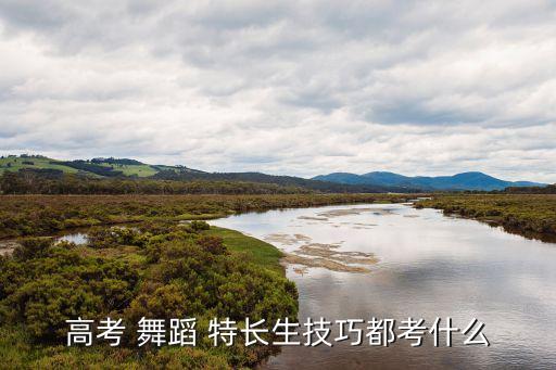 舞蹈特长生考什么,舞蹈特长生的培养计划