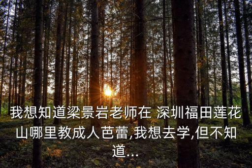 深圳舞蹈教练,芭蕾舞成人班课程有哪些?