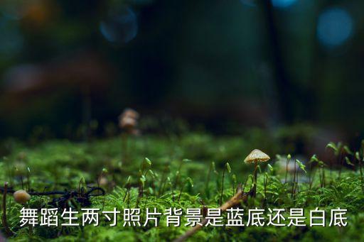  舞蹈生两寸照片背景是蓝底还是白底