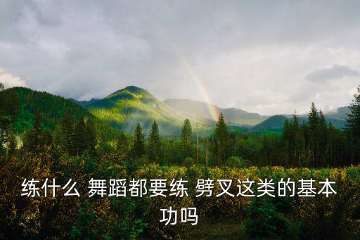 练什么 舞蹈都要练 劈叉这类的基本功吗