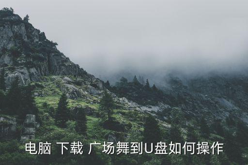 下载广场舞蹈视频大全,下载广场dance视频步骤
