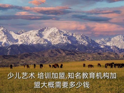 少儿艺术 培训加盟,知名教育机构加盟大概需要多少钱
