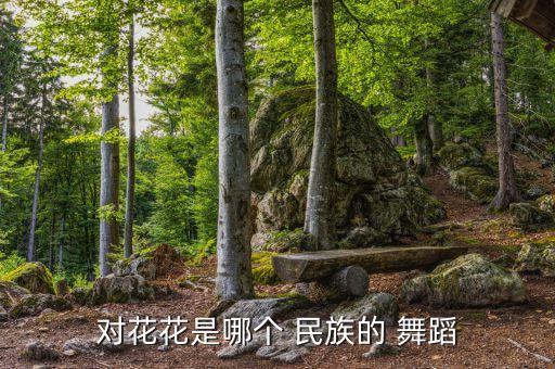 对花花是哪个 民族的 舞蹈