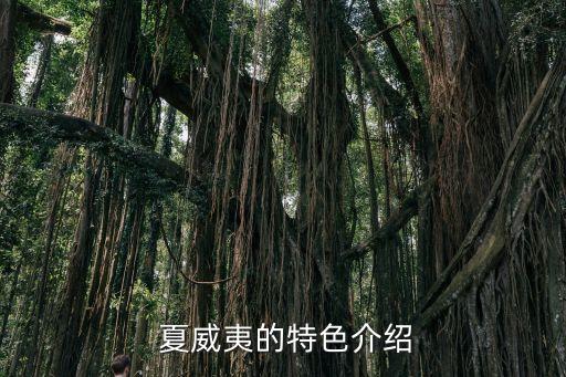  夏威夷的特色介绍