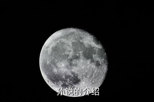  孙锐的介绍