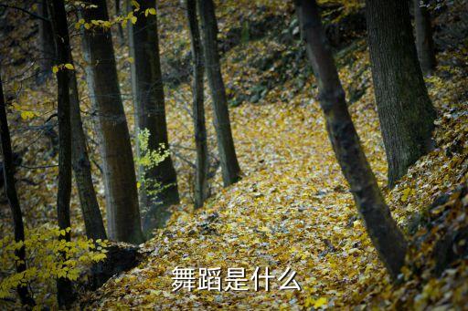 舞蹈是什么