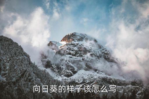向阳花 舞蹈视频,向日葵会跳舞吗?