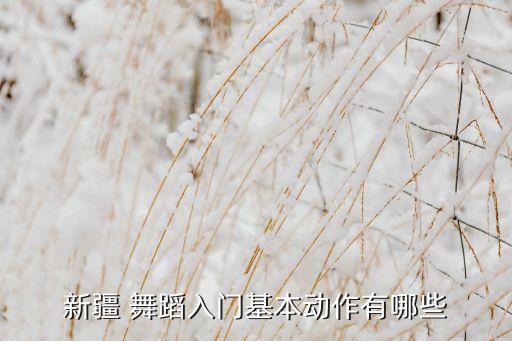 新疆 舞蹈入门基本动作有哪些
