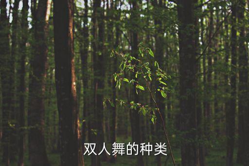  双人舞的种类