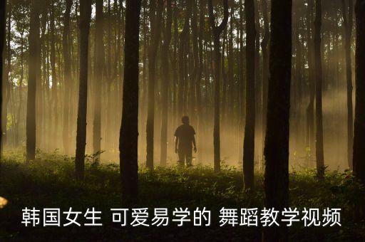 韩国女生 可爱易学的 舞蹈教学视频