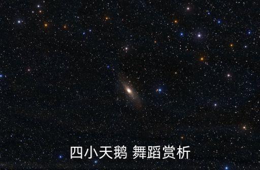 儿童舞蹈可爱的舞曲,《四只小天鹅舞曲》第二幕演奏