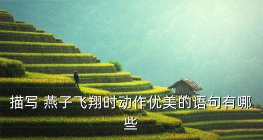 燕子飞舞蹈动作图,第五步:点击高级动画组动画效果按钮!