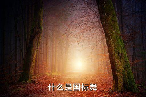 国际标准舞蹈,交谊舞又称运动舞蹈