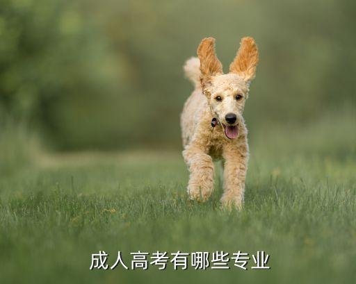 成人舞蹈班招生简章,台湾东部舞蹈大赛成为央视文艺资源储备