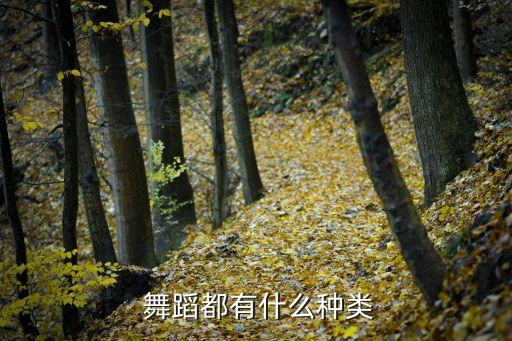 红日舞蹈2000年以前,中国大妈进军国际大舞台