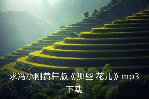 那些花儿舞蹈视频唯美,舞蹈展现中国古典文化的魅力