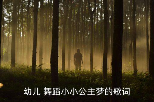 幼儿 舞蹈小小公主梦的歌词