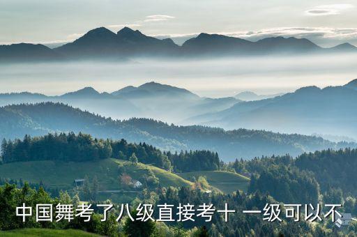 中国舞考了八级直接考十 一级可以不