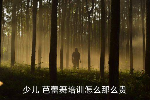 小朋友芭蕾舞蹈班价格,选择芭蕾舞蹈培训机构要慎重费用会更高