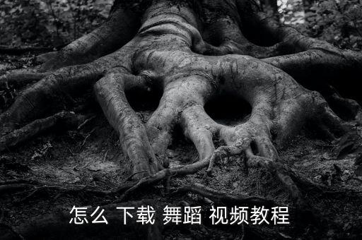 带舞蹈舞蹈视频下载,从网络视频下载广场舞蹈视频