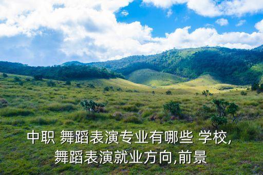 红星舞蹈学校招聘信息,幼师专业招聘:先看学历再看能力