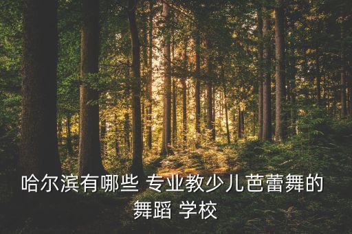 哈尔滨有哪些 专业教少儿芭蕾舞的 舞蹈 学校