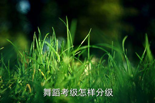 北京舞蹈 6级双手位,中国舞蹈考级分为哪些级别?