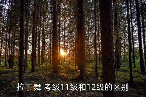 太原体育舞蹈考级点,舞蹈协会认证中最多可考一级半专业级