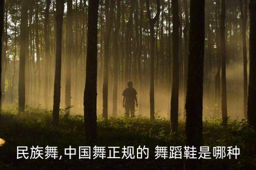 民族舞,中国舞正规的 舞蹈鞋是哪种