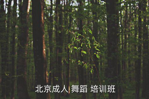 北京注册舞蹈培训,北京成人舞蹈，培训学校太多!
