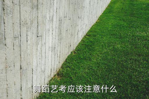 舞蹈表演要注意哪些,文化课要求参加舞蹈艺考学生分两类别