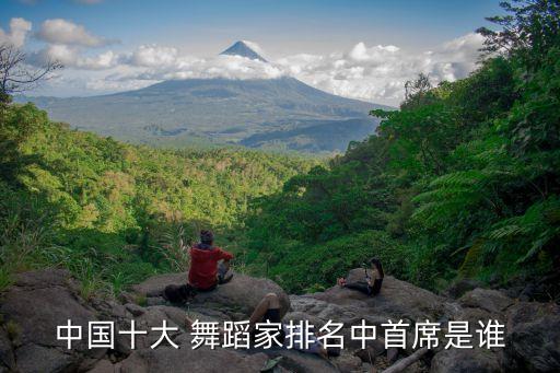 舞蹈家沈培艺的感悟,中国最完美的艺术品舞蹈家