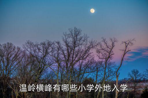 温岭横峰有哪些小学外地入学
