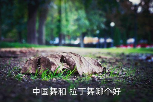 中国舞和 拉丁舞哪个好