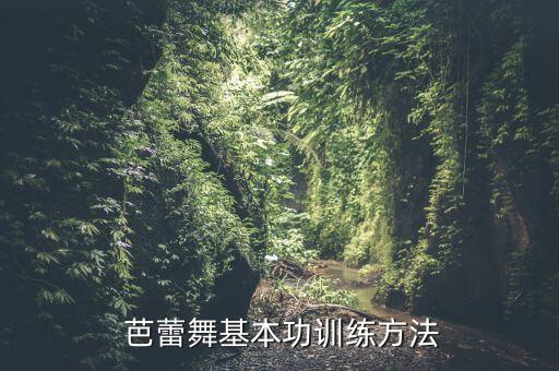 芭蕾舞蹈小组合,第二集:芭蕾修炼之旅