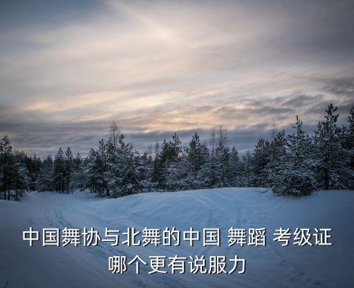 中国舞协与北舞的中国 舞蹈 考级证哪个更有说服力