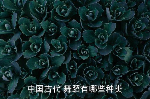 中国古代 舞蹈有哪些种类