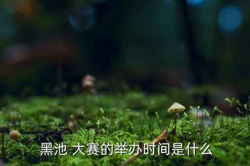 黑池舞蹈大赛中国赛区,黑池舞蹈节日包括国际标准舞锦标赛
