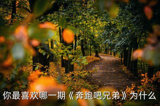 跑男舞蹈,寻找过往恋人跳组合舞蹈起飞